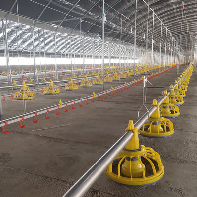 养鸡设备 水线料线 肉鸡平养喂料线 喂水线